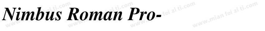 Nimbus Roman Pro字体转换